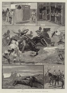 Vita e Carriera di un Cavallo Militare